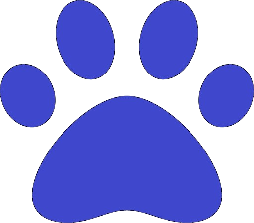Category Icon